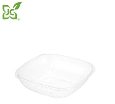 China Recyclable JC - Factory Direct Plastic 32 Ounce Square SSB Tray With Dome Lid for sale