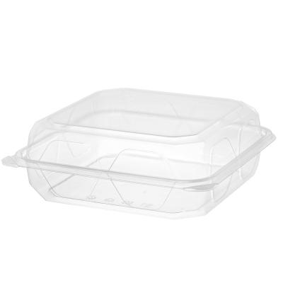 China Concise Design PET Disposable Plastic Food Containers PET Clear Hinged Blister Tray for sale