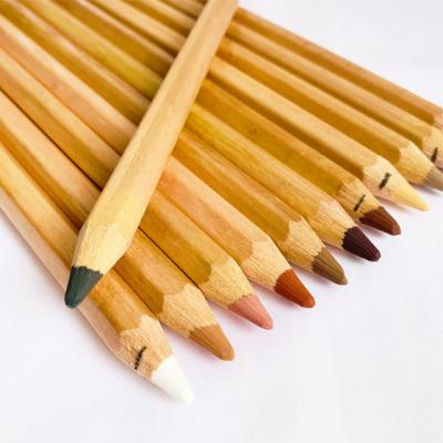 China Good Art Premium Quality 12pcs per pack 10.0mm color lead Tone Color Pastel Pencil for sale