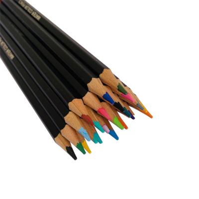 China Professional Adult Fine Art Artists Sketch Watercolor Pastel Pencils Set for sale