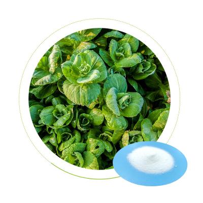 Cina L'ammonio del fertilizzante del nitrato di potassio del prato inglese del grano solfona la purezza 99,4% KNO3 in vendita