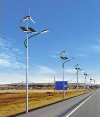 China ROAD GARDEN Supplier 12V System Reliable Solar Powered Street Light With Wind Electricity Generator for sale