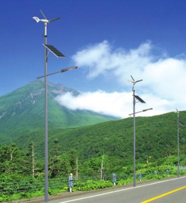 China ROAD GARDEN home and commercial 12v 24v wind and solar hybrid led street light for sale