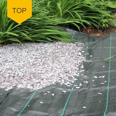 China Permeable And Breathable Thick Plastic Weed Orchard Black Anti-Aging Black Mat Permeable PP Woven Plastic Weed Mat Long Lasting for sale