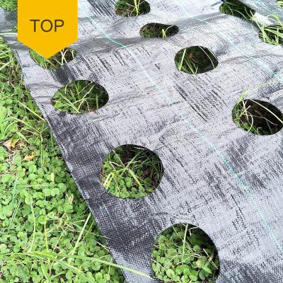 China Professional Agriculture Cultivation Manufacturer Factory Customize Anti Grass Cloth Landscape Cloth Weed Control Mat Different Sizes for sale