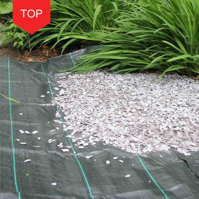 China Weed anti-aging permeable of agricultural cultivation pp and breathable agricultural plastic thick universal Mat Ground Cover for sale