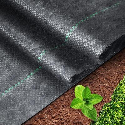 China China Cheap Price Agricultural Orchard Plant Flower Vegetable Planting Cultivation Ground CoverWeed Mat Control Weed Mat for sale