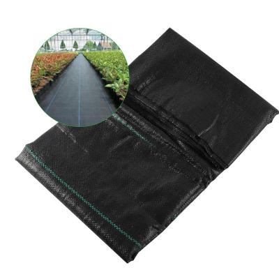 China Customization Plastic Agricultural Mulch Cultivation Weed Barrier Ground Cover Weed Mat for sale