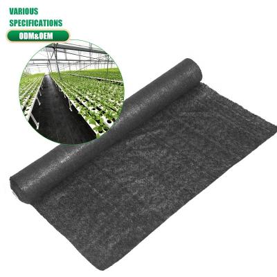 China PP Woven Punch Needle Weed Mat Fabric Weed Control Roll Agriculture Plastic Fabric Cultivation Mulching Film for sale