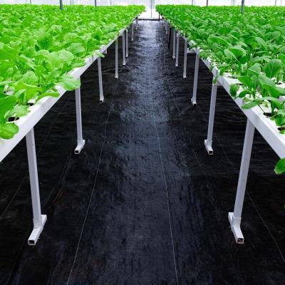 China High Quality Plastic Material Plastic Cover Mat Ground Cover Agriculture Cultivation Mulsa Weed for sale