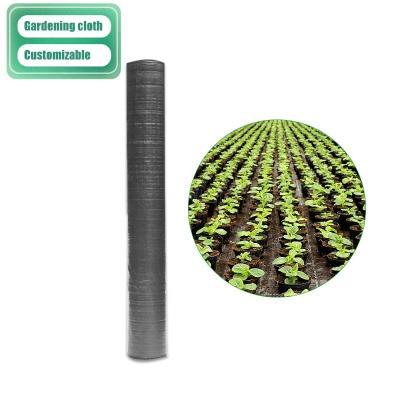 China Agricultural Crop Plastic Mulch Weed Control Agricultural Mulching Plastic Cloth for sale