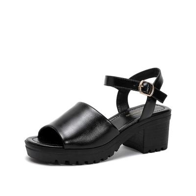 China Fashion Trend Platform Heel Sandal Square Midn Low Heels Summer Black Heeled Sandals For Women And Ladies for sale