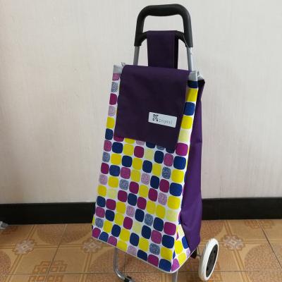 China Portable Trolley Travel To The Latest Weight Capacity Hot Sale And Rise Of The Mall Shopping Folding Shopping Cart for sale