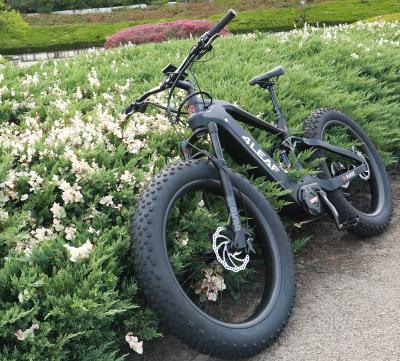 China Fat Carbon Fiber EBike 48v 1000w electrica de bicicleta with Bafang M620 motor mid suspension Toray T800 full carbon slant ebike for sale