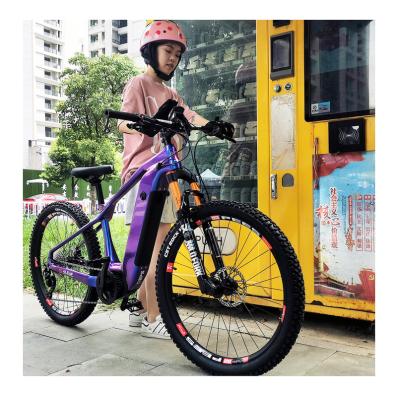 China Carbon fiber basic version Mtb E bike carbon ebike 29 inch 48v 250w/350w cheapest assistted mountain powerful ebike electric city bicycle for sale