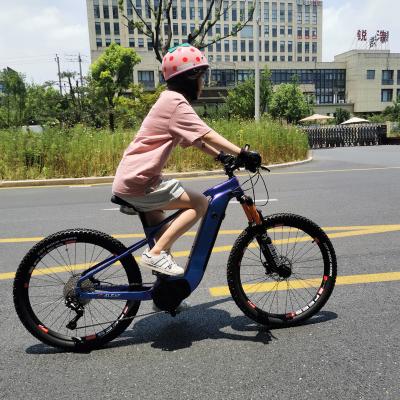 China Carbon Fiber Women Girls Carbon Frame E Bike Cheapest Carbon Frame 26Er Inch 48v 250w/350w Assistted Electric City Mountain Ebike Bicycle for sale