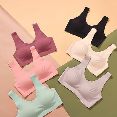 China QUICK DRY In Stocking Womens Bra Ladies Comfortable Wireless One Piece Padded Seamless Bralette Seamless Top Bralette For Women for sale