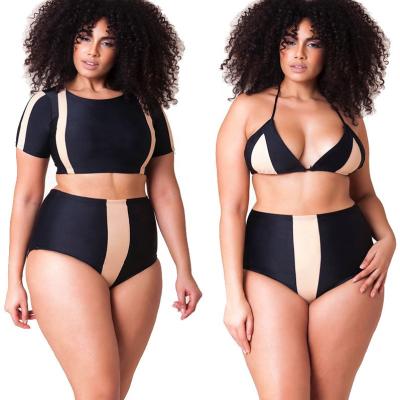 China Plus Size Tankini Two Pieces Women's Sexy Bikini Fashion Swimwear Fitness Plus Size Swimwear for sale