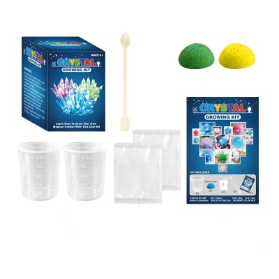 China Game of Amazon DIY Gift Hot Selling Crystal Growing Science Kit Boys and Girls Games Kits Magical Funny Toys Educational Gift for sale