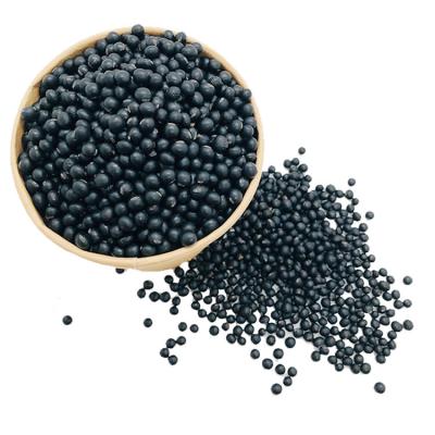 China China factory price dry high protein organic black soybeans for sale