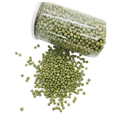 China Chinese origin dry high protein green soybean, green bean for sale