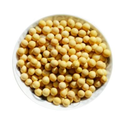 China Dried Top Quality Organic Soy Non-GMO Soybeans Seeds for sale