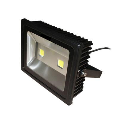 China 100 Watt Color Temperature Adjustable Bow Boat Fishing LED Flood Light for sale