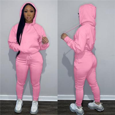 China Hot Women's Long Sleeve Hoodie Two Piece Set Breathable Hoodies 2 Piece Joggers Set Women Clothing for sale