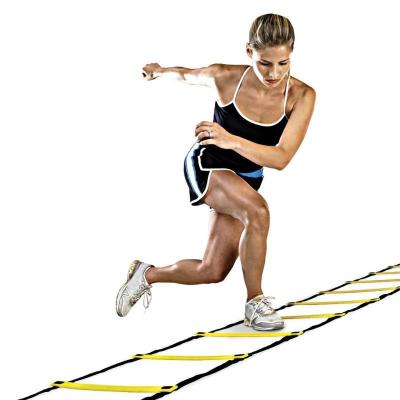 China Soccer Training Dropshipping Custom Workout Exercise Soccer Speed ​​Training Agility Ladder Sports Playing 20feet 12rungs CN Accepted; ZHE Lijian for sale