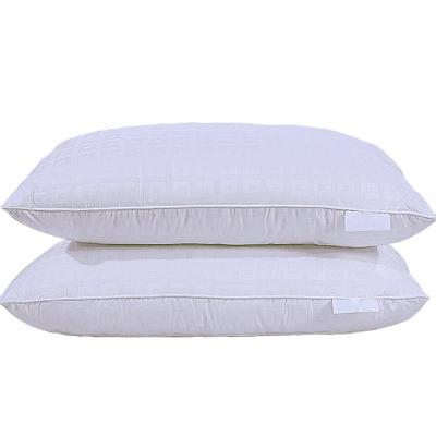 China Sleeping Pillow Anti-Static Velvet Pillow, European Pillow For Hotel for sale