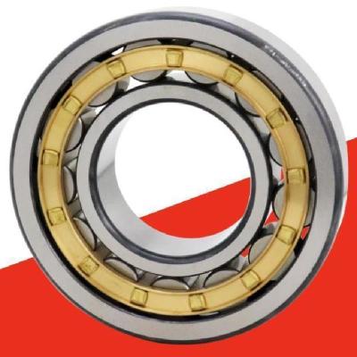 China FAG Cylindrical Roller Bearing / INA Cylindrical Roller Bearing For Gearbox for sale