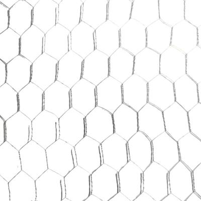 China Fence Poultry Farms Fence / Hexagonal Wire Nettings / Chicken Wire Mesh for sale