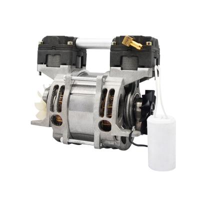 China New Environmental High Pressure Vacuum Pump Automotive Industry Small Small Single Phase 160A Dental Vacuum Pump for sale