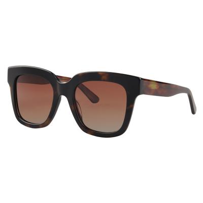 China Fashion Sunglasses TBSA610 Fashion Thick Frame Acetate Oversized Polarized Sunglasses for sale