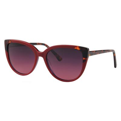 China Fashion Sunglasses S322 New Model Red Acetate Cat Eye Polarized Sunglasses For Women for sale