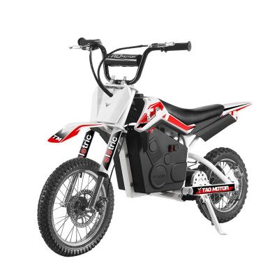 China Tao Motor Electric Pocket Bike Fox 500 36V 500W with CE 16*2.4/2.5-10 for sale