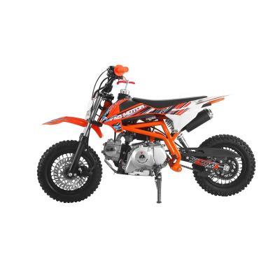 China Tao Motor 4 Stroke 110cc Mini Dirt Bike DB20 with CE 10inch for sale