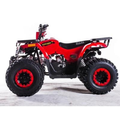 China Tao Motor Hunter II Chain Drive 125 ATV 125cc With EPA CE Certificate 8inch for sale