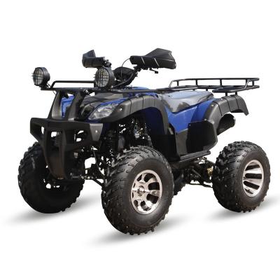 China Tao Motor ATA250-D2 QUAD 250cc ATV 250 Steel ATV for sale