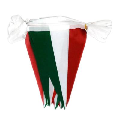 China Health Care Institutes Wholesale 2022 Custom Red White Green Italy Flag World Cup Bunting Flag for sale