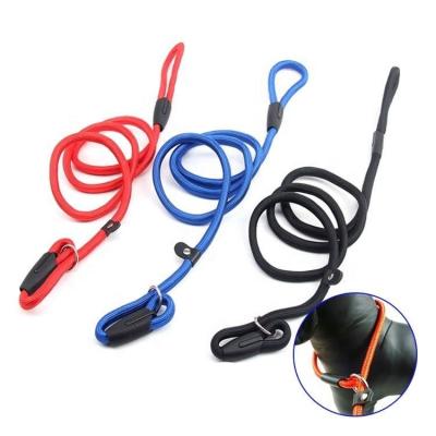 China Sturdy Nylon Chain Pet Training P Dog Leash Collar Leashes Set Rope Viable Pure Color for sale