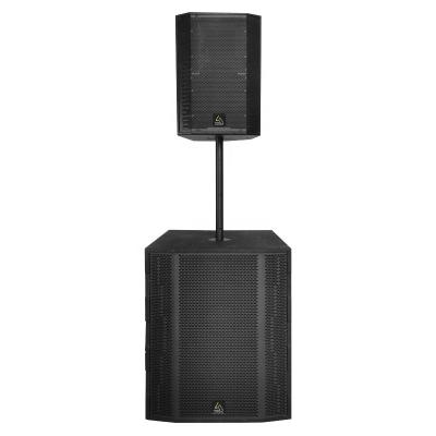 China Outdoor and Indoor Performance STX15/L18S L-solution Active portable sound system 15