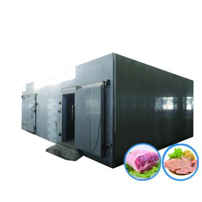 China Hotels China Factory Price High Grade Air Blast Freezer Cold Storage Room Colder For Meat Vegetables for sale