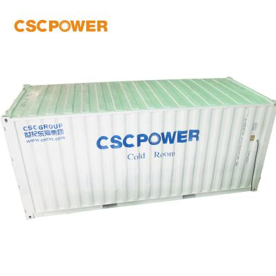 China Hotels 20ft And 40ft Container Cold Room Cold Storage Fish Freezer Container for sale