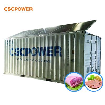 China New Hotels 20ft 40ft Container Storage Freezer Container Cold Room Cold Storage for sale