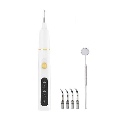 China Portable Teeth Cleaner New Professional Portable USB Charging Ultrasonic Scaler Set Multifunctional Electric Tooth Cleaner for sale