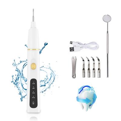 China Portable Teeth Cleaning Household 2021 Other Dental Equipments Electric Ultrasonic Tartar Remover Dental Calculus Remover for sale