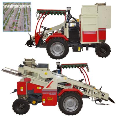 China Combine Peanut Harvesting Machine Maize Harvester Machinery Maize Harvester Machinery for sale