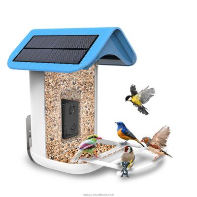 China New WiFi Automatic Solar Garden Wild Bird Seed Dispenser With Trail Camera Smart Bird Driver AI Identify Bird Species for sale