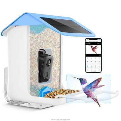 China 2023 New AI Automatic Bird Feeder Bird Feeder Species Recognition Smart Bird Feeders Solar Camera and Motion Detection Function for sale